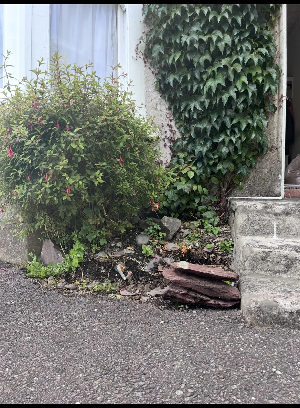 Outdoor Stone Planter — before photograph