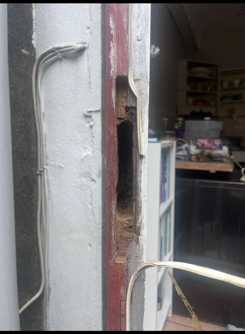 Courtyard Door — before photograph
