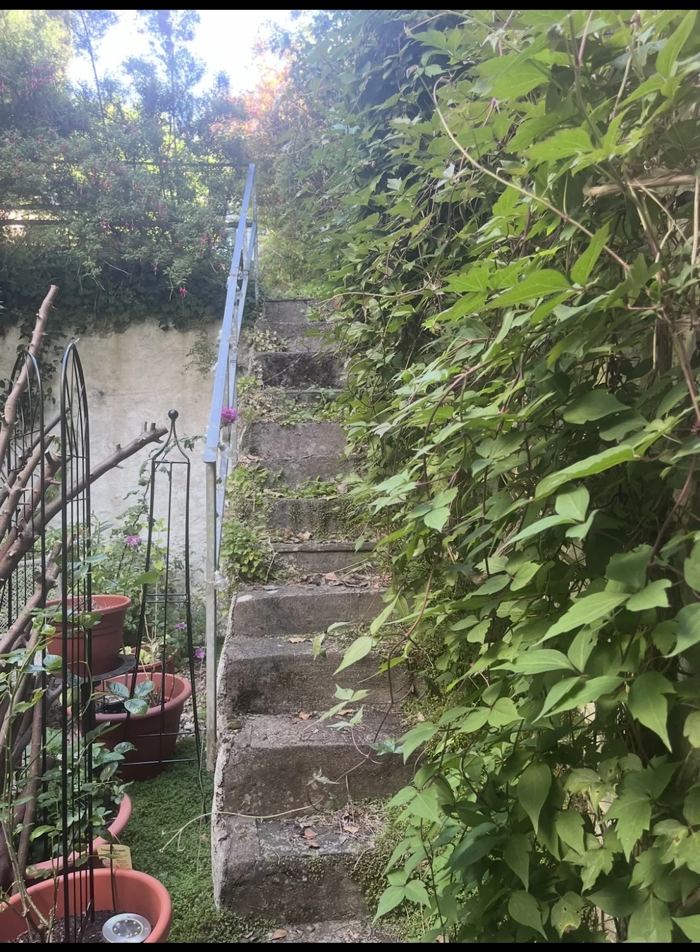 Courtyard Steps Cleaning — before photograph
